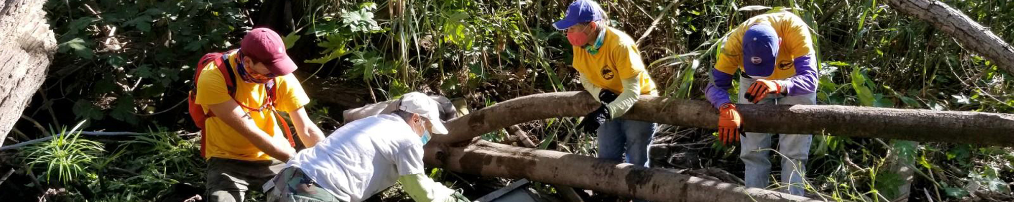 volunteers work to clean up in SD river park